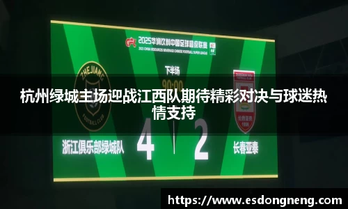 杭州绿城主场迎战江西队期待精彩对决与球迷热情支持