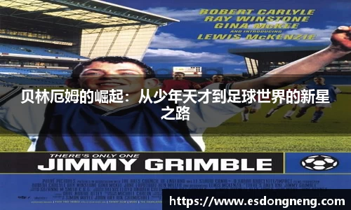 oety欧亿体育官网